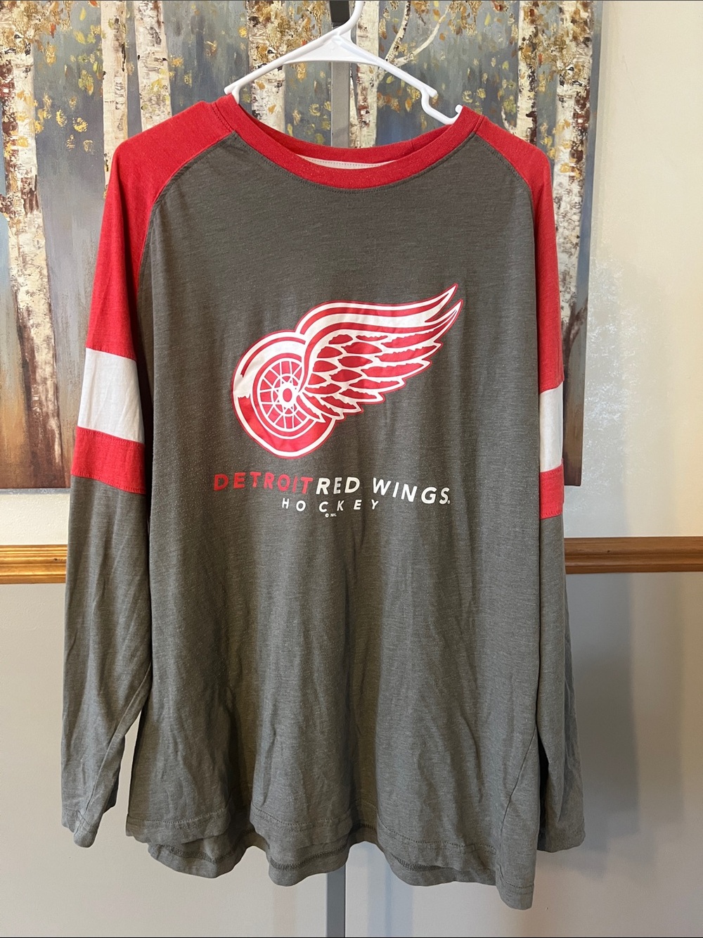 NHL Detroit Red Wings Gray and Red Raglan Long Sleeve Shirt